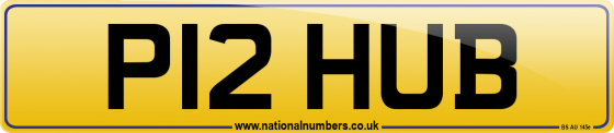 P12 HUB