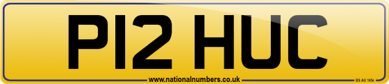 P12 HUC