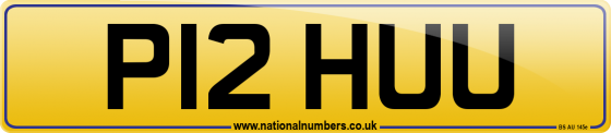 P12 HUU