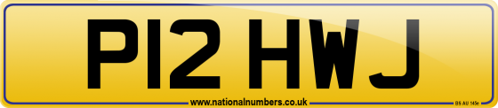 P12 HWJ