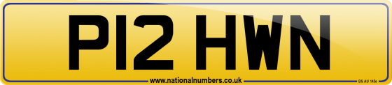 P12 HWN