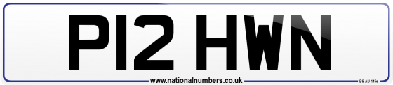 P12 HWN