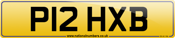 P12 HXB