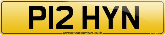 P12 HYN