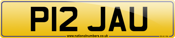 P12 JAU