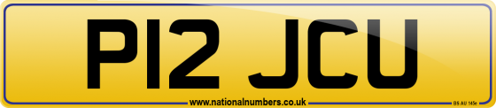 P12 JCU
