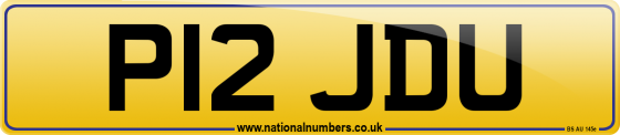 P12 JDU