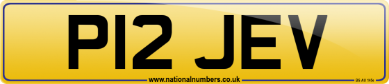 P12 JEV