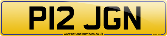 P12 JGN