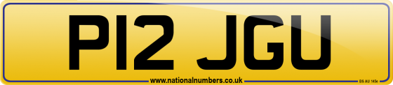P12 JGU