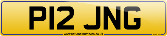 P12 JNG