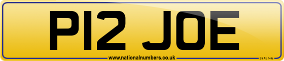P12 JOE