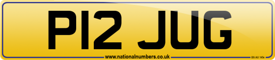 P12 JUG