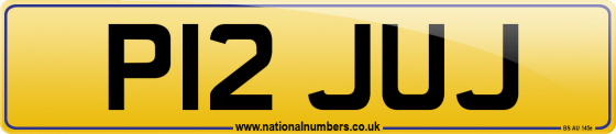 P12 JUJ