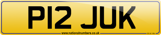 P12 JUK