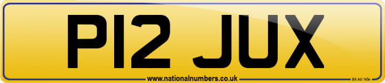 P12 JUX