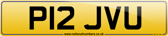 P12 JVU