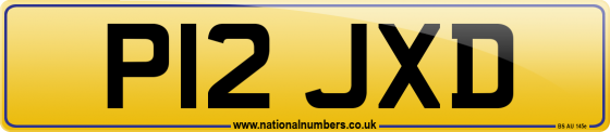 P12 JXD