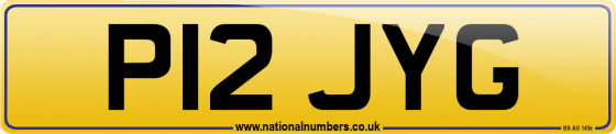 P12 JYG