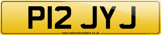 P12 JYJ