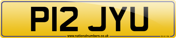 P12 JYU