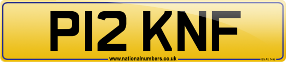 P12 KNF