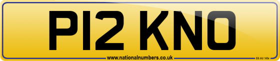 P12 KNO