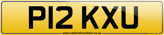 P12 KXU