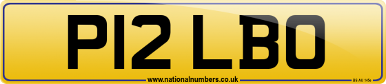 P12 LBO