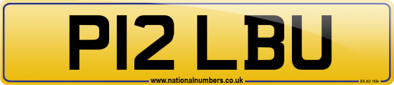 P12 LBU