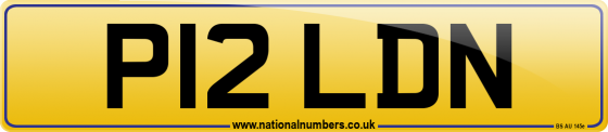 P12 LDN
