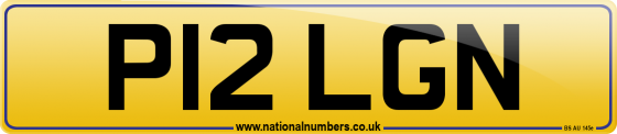 P12 LGN