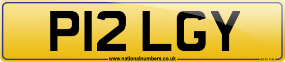 P12 LGY