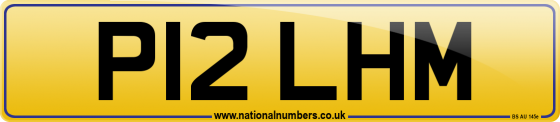 P12 LHM