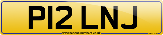P12 LNJ