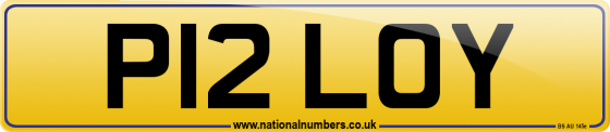 P12 LOY