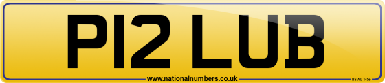 P12 LUB