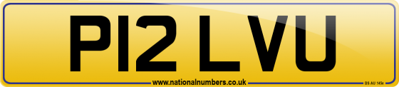 P12 LVU