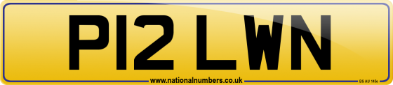 P12 LWN