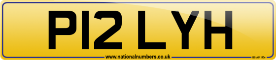 P12 LYH