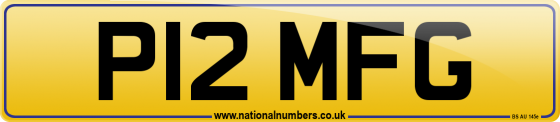P12 MFG