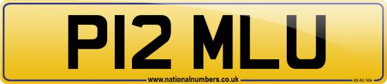 P12 MLU