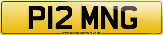 P12 MNG