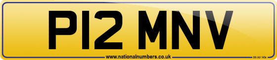 P12 MNV