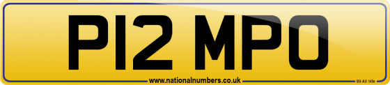 P12 MPO