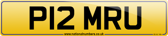 P12 MRU