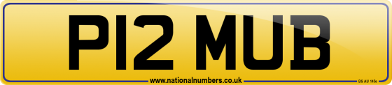 P12 MUB