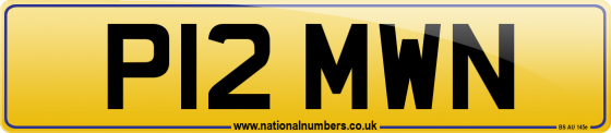 P12 MWN