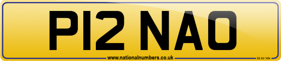 P12 NAO