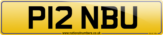 P12 NBU